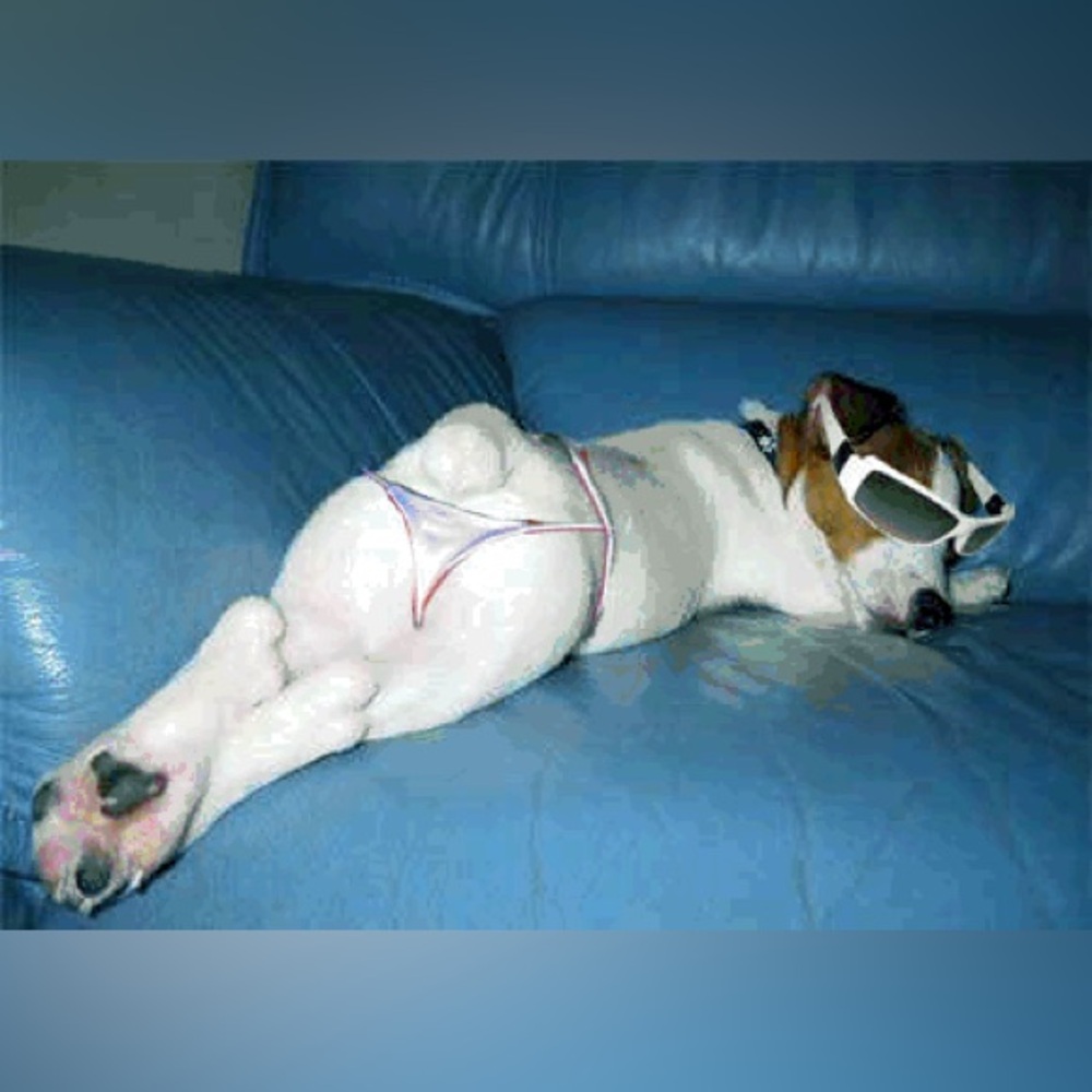 Meet your Posher, Jj